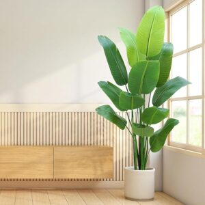 Moderate Scenery for lounge